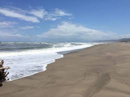 شاطئ وادي زهور